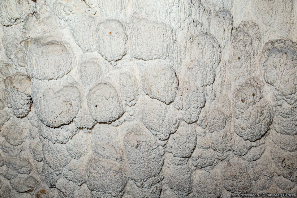 Стена в пещере К13 (4446/3416-8)