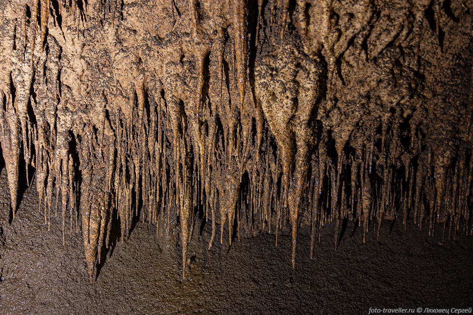 Вся пещера довольно грязная, все покрыто толстым слоем земли