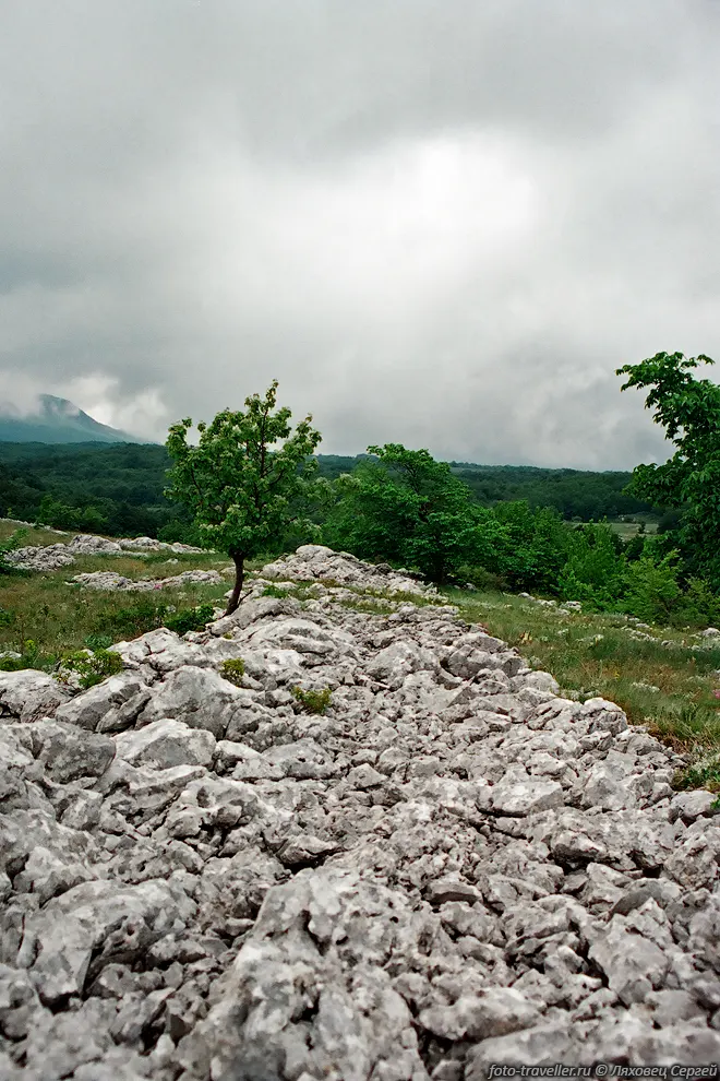 Каменная дорога