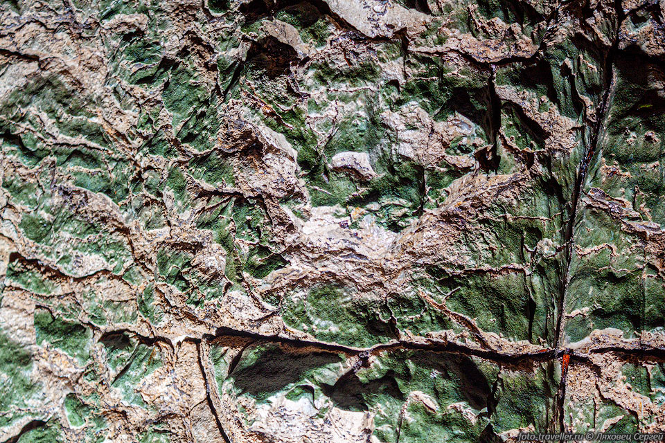 Позеленевшая стена колодца в пещере Жемчужная