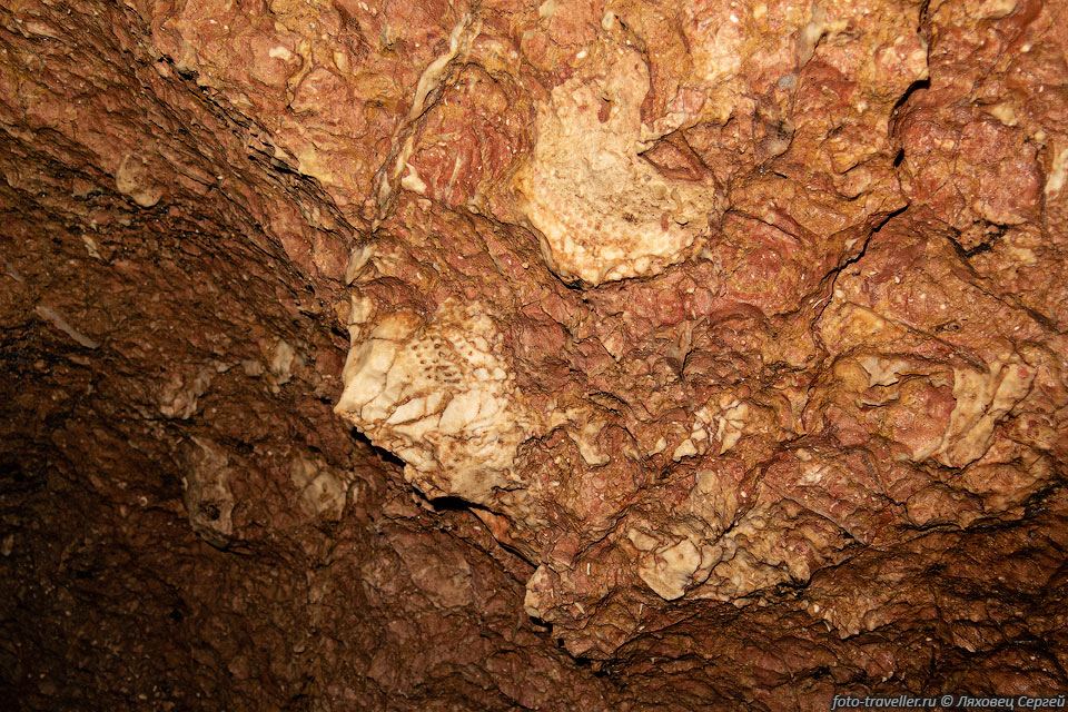 Стена в пещере Сенокосная