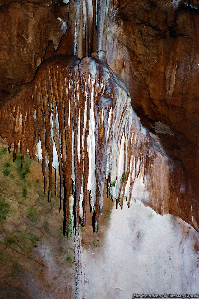 Из-за искусственного освещения в пещерах заводится 
растительность