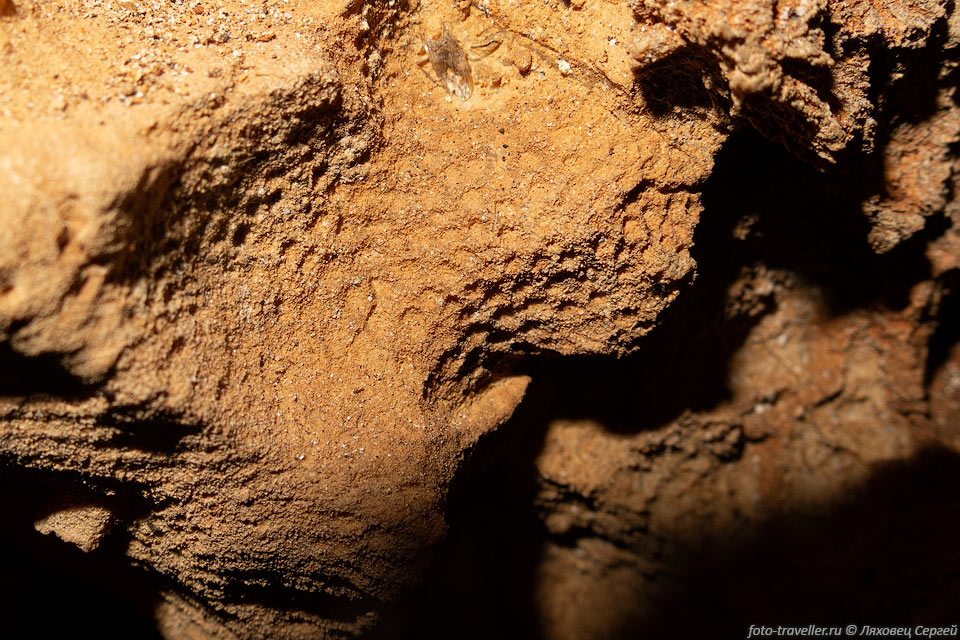 Отпечаток древнего коралла в пещере 444-2