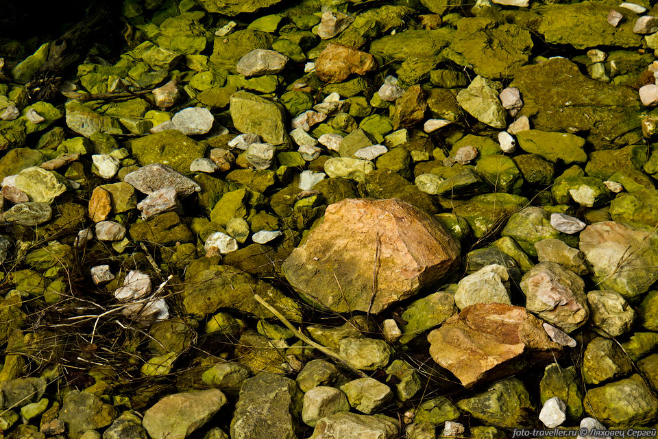 Камни в воде