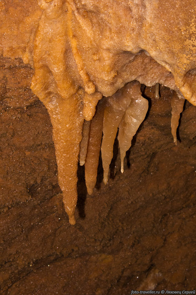 Сталактиты в пещере Монаховская