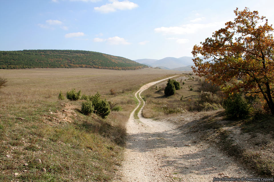 Дорога в Черноречье
