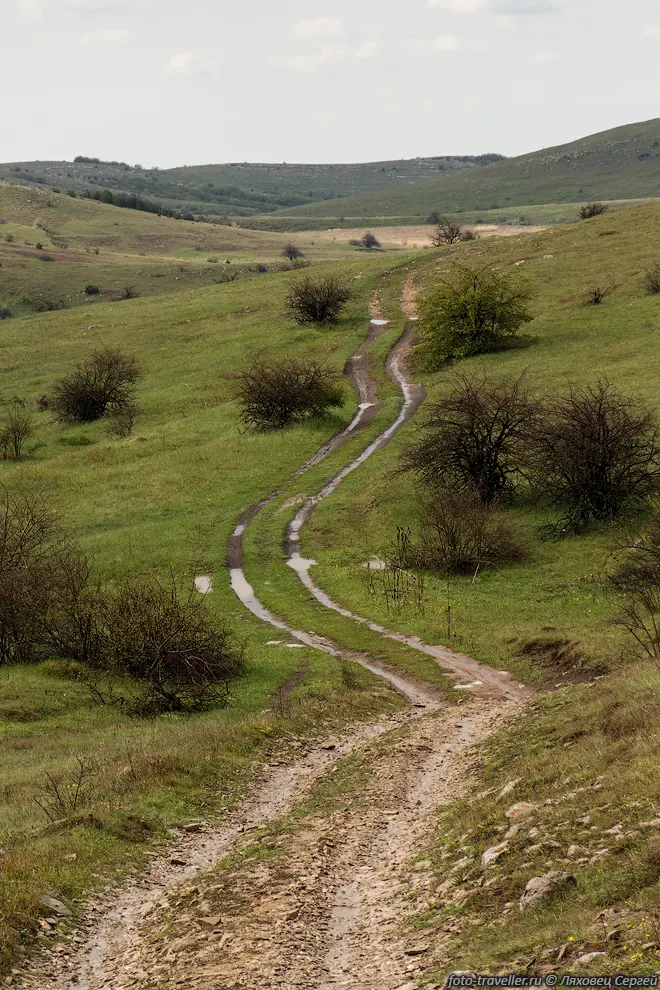 Мокрая дорога