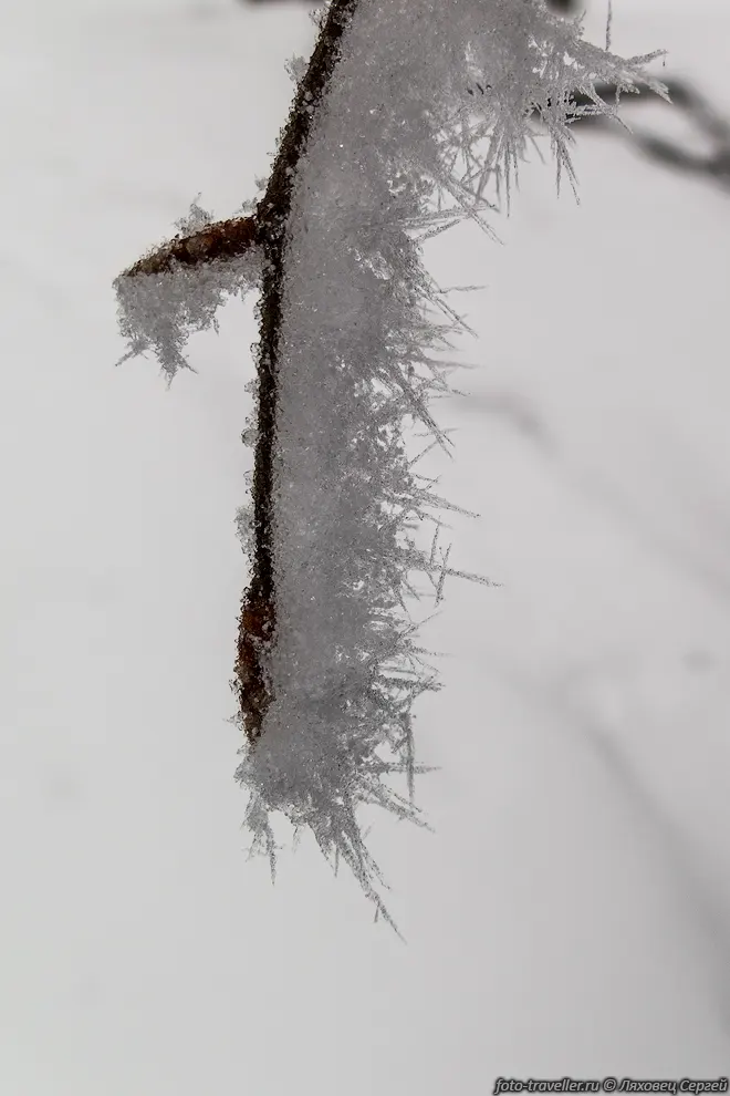 Кристаллы снега