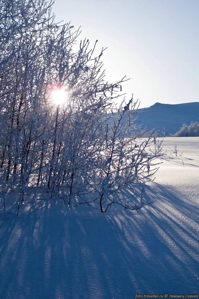 Утреннее солнце
