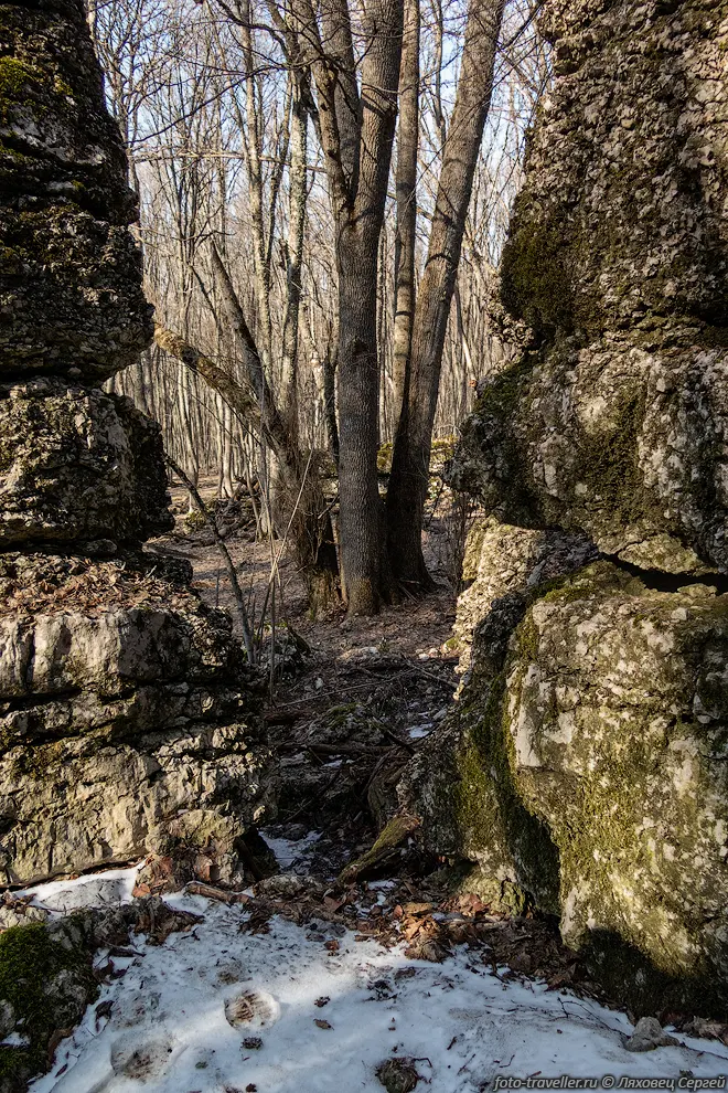 Раскол