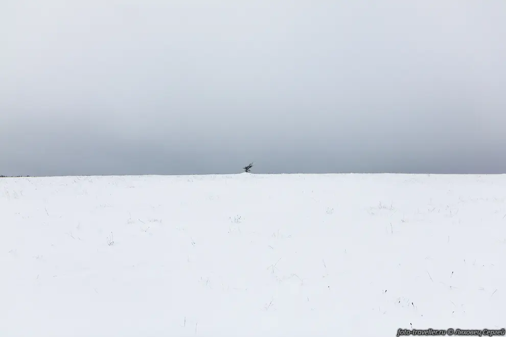 Горизонт