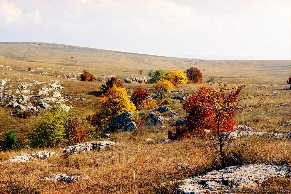 Яркие цвета осени