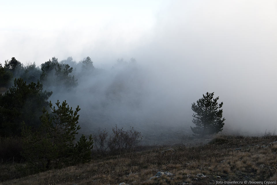На Демерджи наползает туман