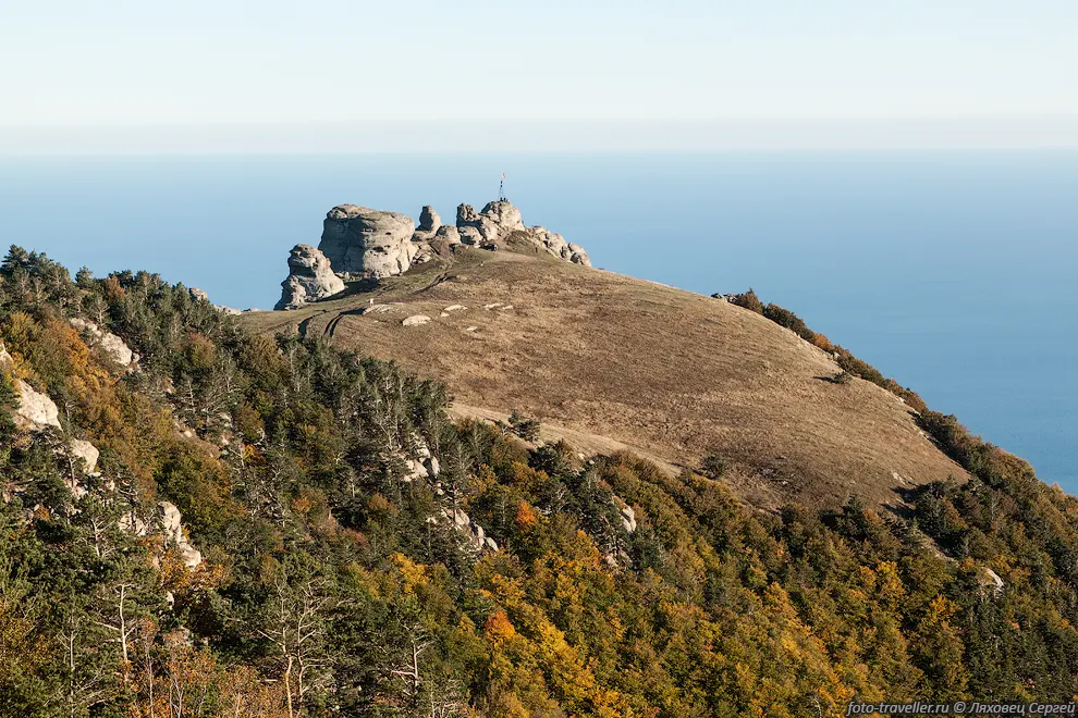 Залысина