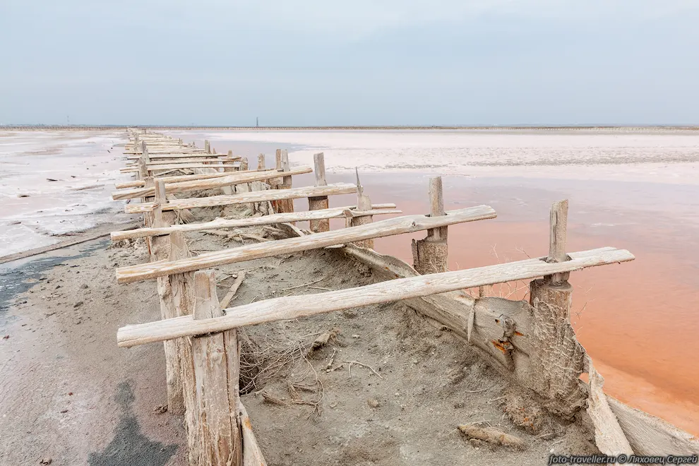 Цвет воды связан с жизнедеятельностью одноклеточных водорослей
вида Дуналиелла солоноводная (Dunaliella Sallina).
Водоросли вырабатывают значительное количество бета-каротина, из-за этого вода может 
окрашиваться в оттенки красного цвета.