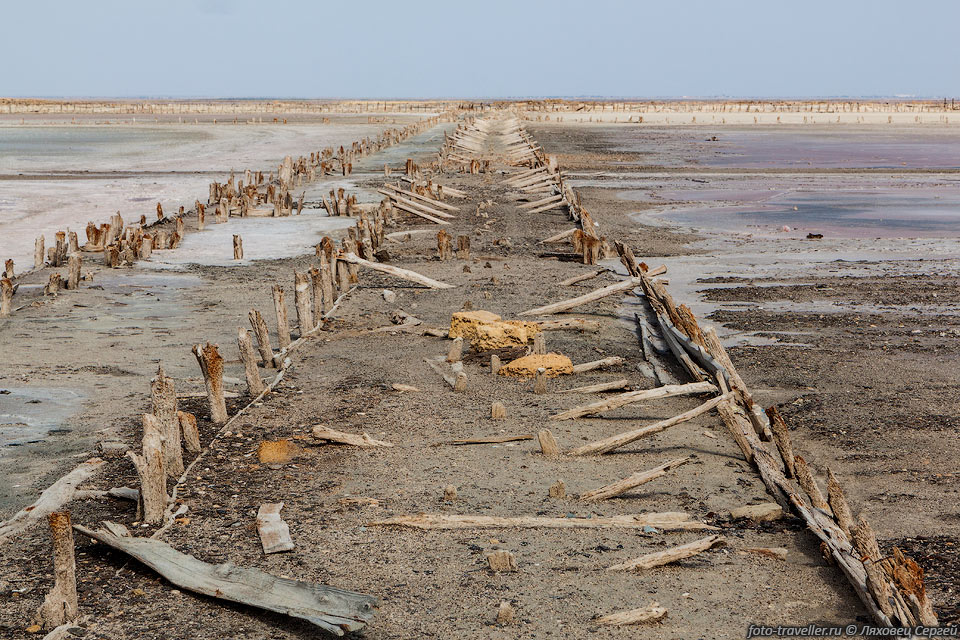 Местные грязи отнесены к категории лечебных.
Озеро Сасык является одним из грязевых месторождений Крыма, имеющее зоны санитарной 
охраны.