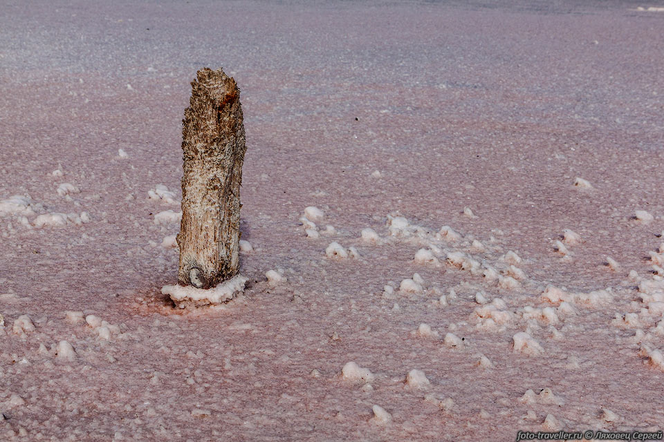 Столбик в озере Сасык