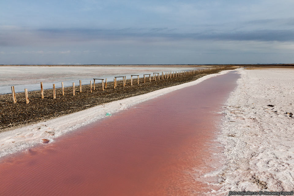 Красная вода на соляном промысле озера Сасык