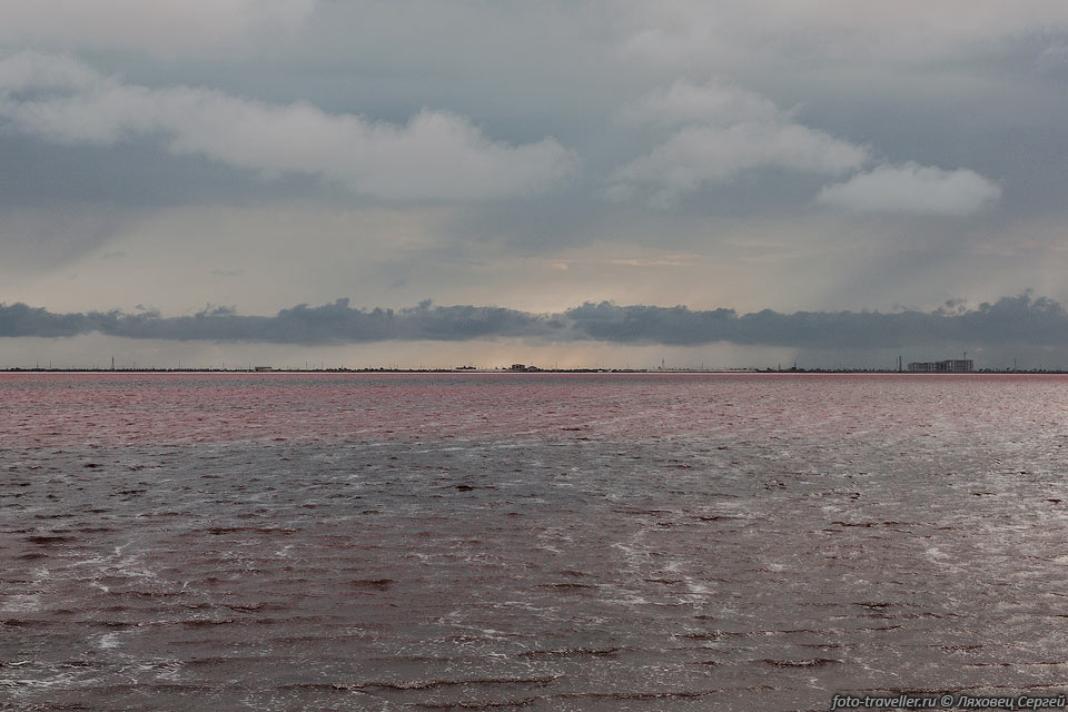 В летний период площадь озера Сасык уменьшается, соответственно 
солёность повышается