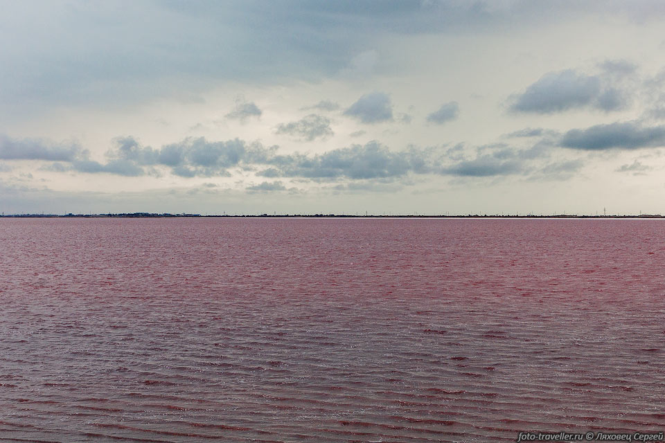 Розовая вода озера Сасык