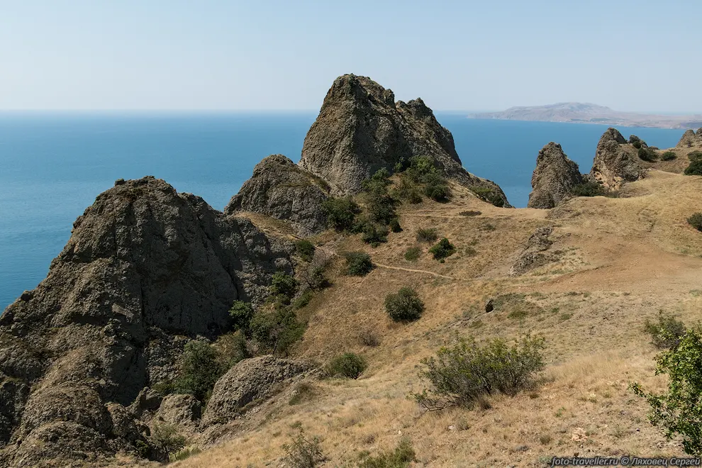 Флора Кара-Дага насчитывает более 2500 видов, среди которых 52
эндемика.
Фауна заповедника насчитывает 5300 видов (включая подводных обитателей и насекомых), 
но увидеть что либо из нее тут проблематично.