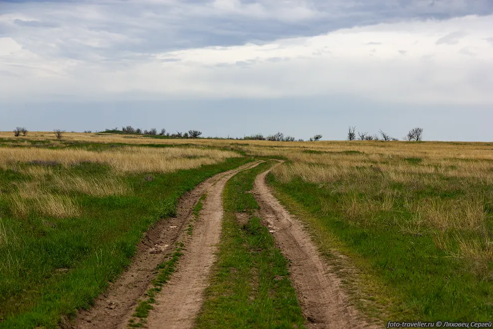 Грунтовая дорога