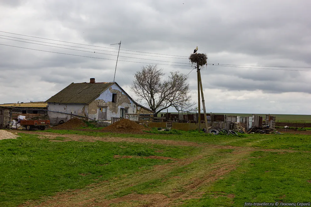 Поселок Яркое