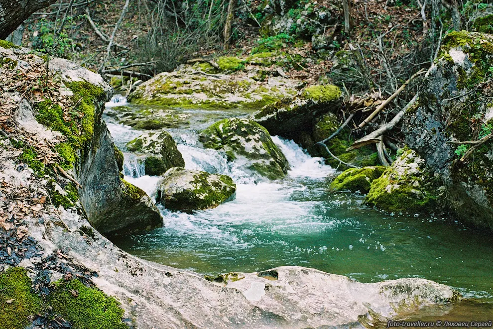 Живая река