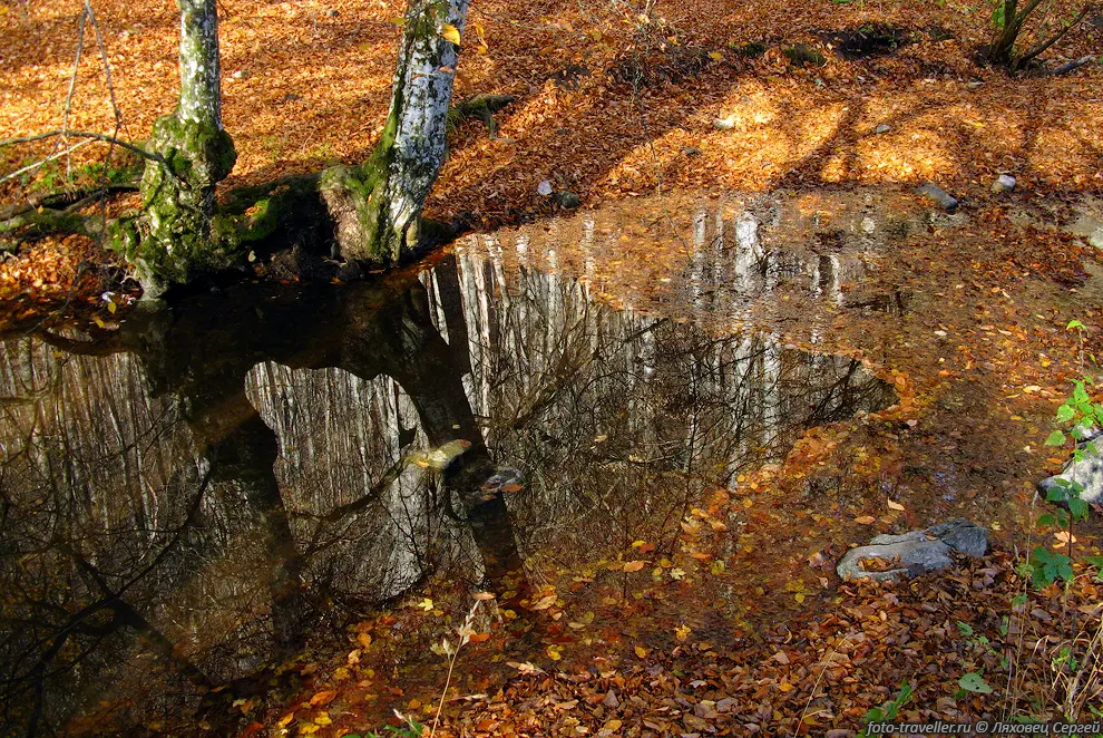Осень выдалась очень сухая,
многие источники пересохли, воды в речках очень мало