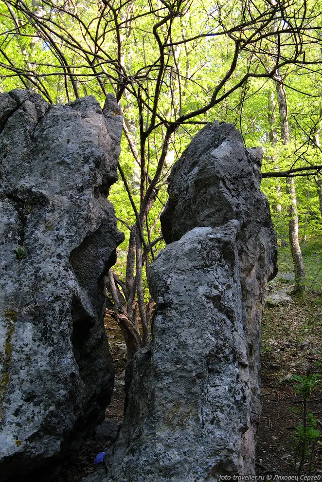 Камень у источника 