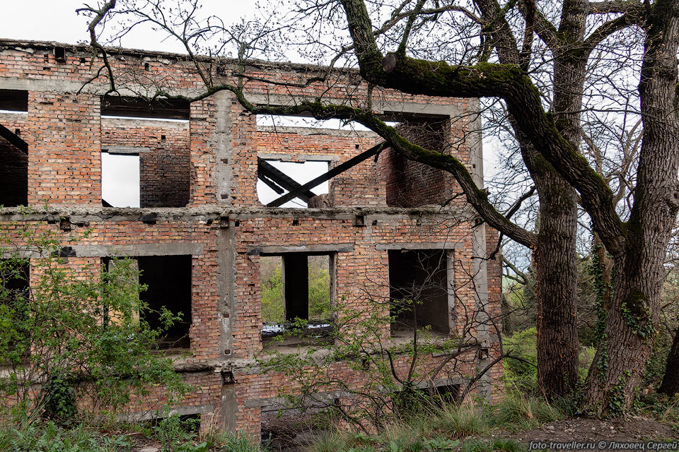 Развалины в Массандровском парке