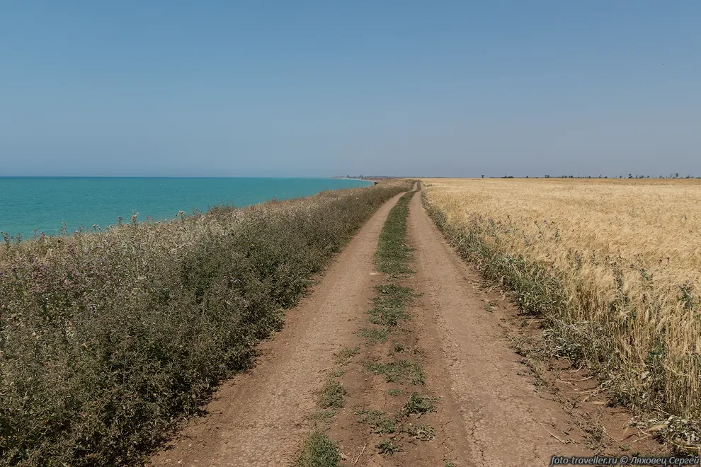 Дорога к югу от Николаевки