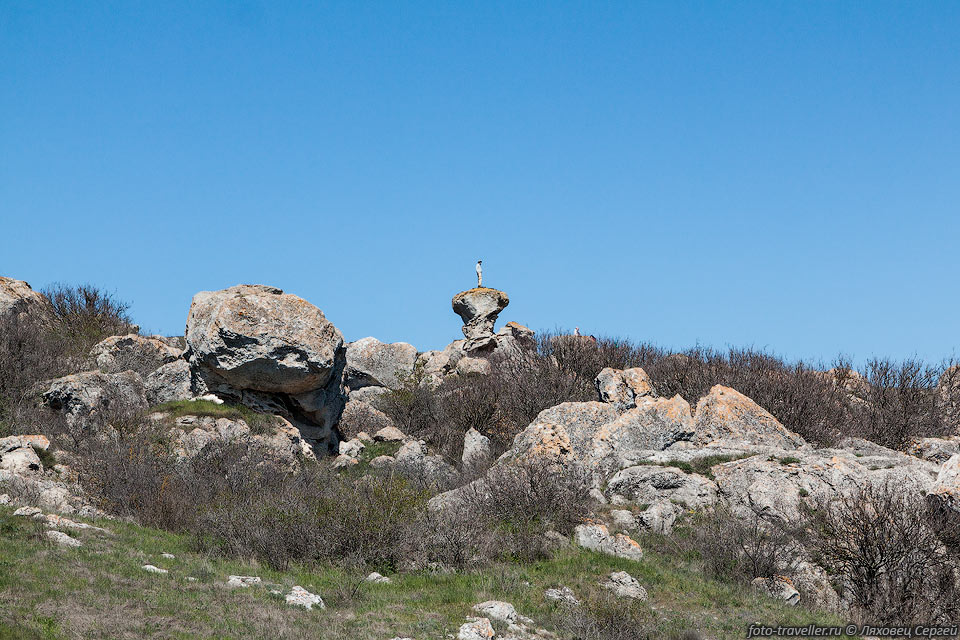 Каменный гриб возле мыса Ташик-Бурун