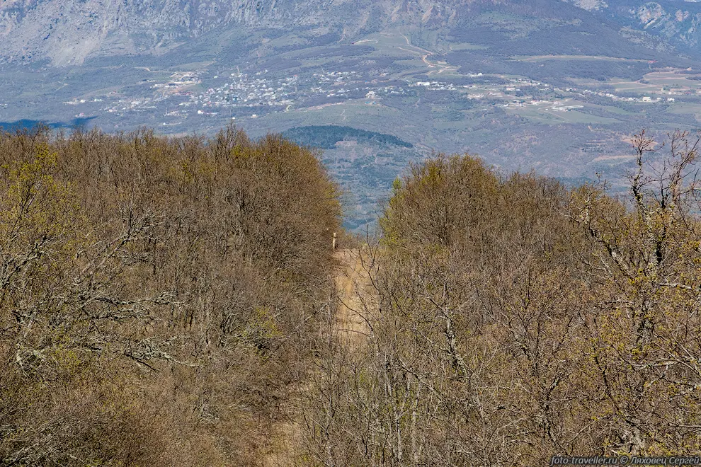 Просека