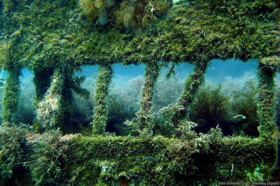 Затонувший торпедный катер времен Второй Мировой Войны в 
Судакской бухте