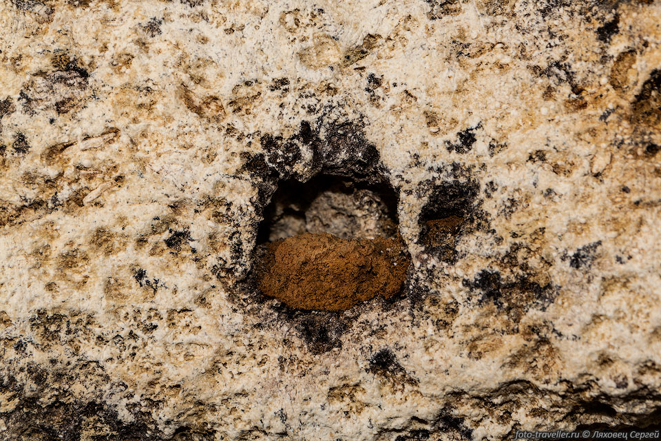 Интересно, что глина находится в некоторых дырках на потолке пещеры