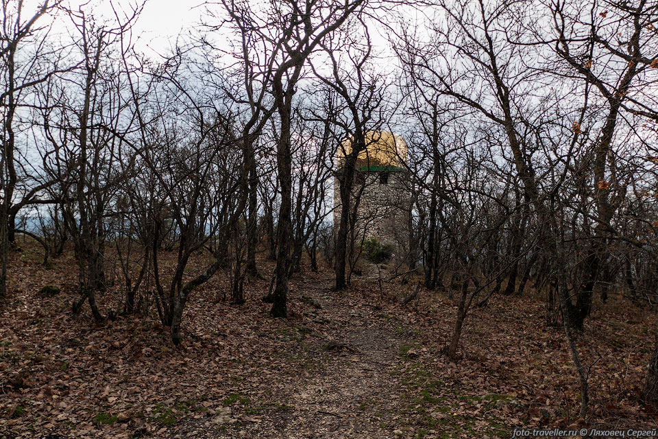 Лес над монастырем Шулдан