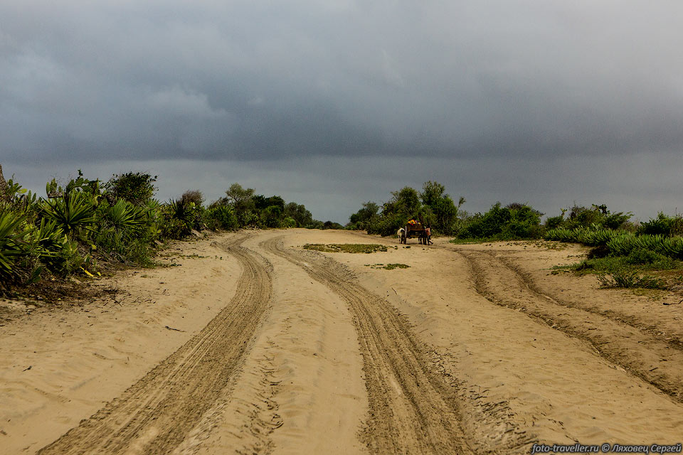 Дорога на крайнем юге острова Мадагаскар