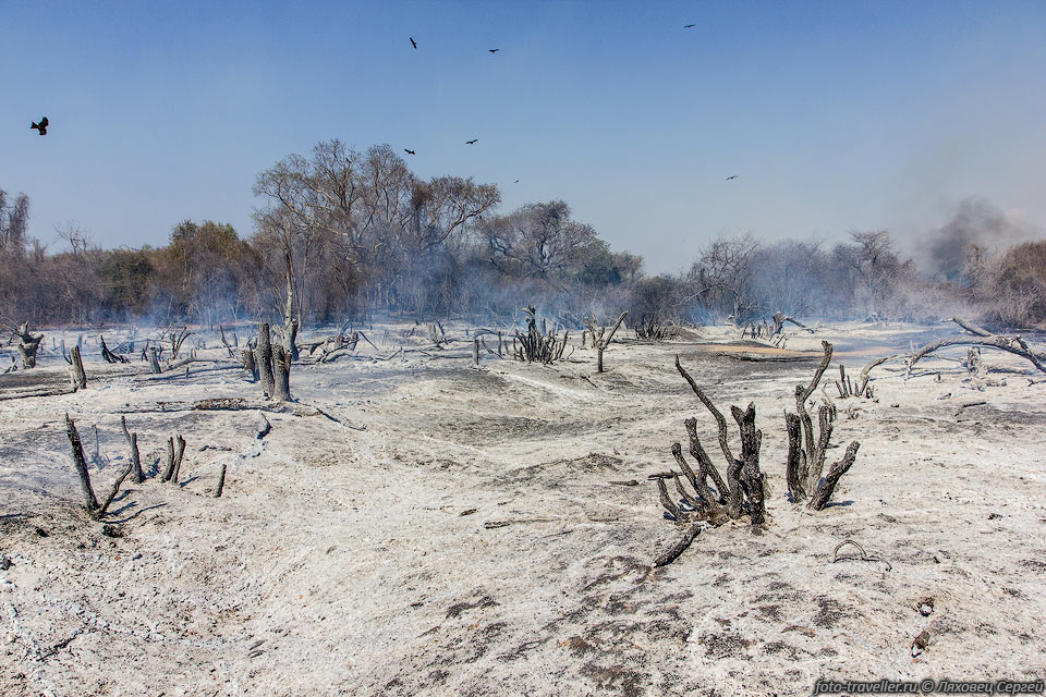 Подсечно-огневое земледелие на Мадагаскаре.
Везде что-то горит.