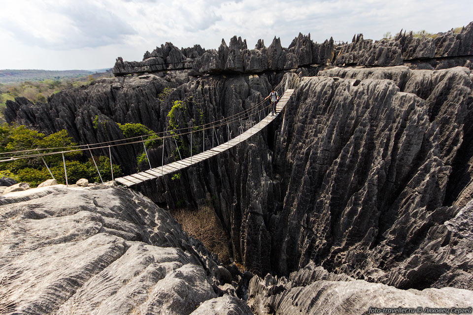 Мост на треке по большим цингам в национальном парке Цинжи-дю-Бемараха