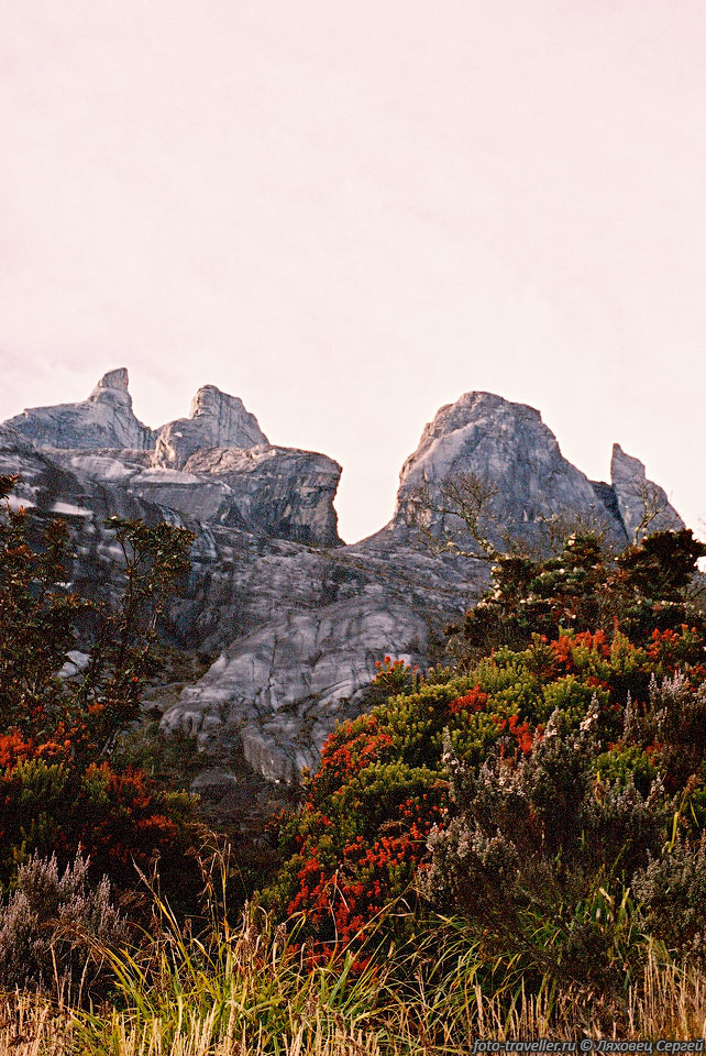 Зубастые скалы - вершины горы Кинабалу.