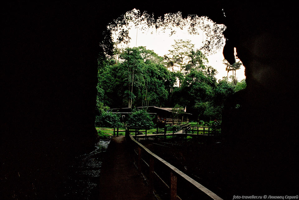 К пещерам Гоматонг относятся две основные пещеры: Симуд Хитам 
(Simud Hitam, Black Cave), Симуд Путих (Simud Putih, White Cave). Обнаружили эти 
пещеры в 1603 году. Первая топосъемка выполнена П. Оролфо (P. Orolfo) в 1930 году. 
В этих двух пещерах, в 30 км от Сандакана, обитает около миллиона стрижей. В пещере 
Симуд Хитам собирают гнезда черных птиц. Они ценятся меньше, чем гнезда белых птиц, 
из пещеры Симуд Путих. Названия этих пещер произошли от цвета гнезд стрижей, которые их населяют. Симуд Путих 
больше по объему и труднодоступна. Пещеры 
расположены в небольшой известняковой горе, насквозь пронизанной ходами. Пещер довольно 
много, но просто так в них не попадешь, они - собственность государства. Пещеры 
населяет много всякой живности: тараканы, летучие мыши (2 миллиона особей), ласточки. 
В окрестностях пещер можно увидеть змей, разных обезьян и птиц.