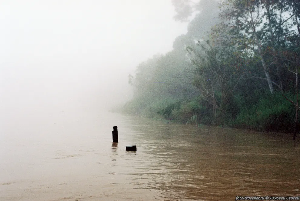 Туманное утро на реке Кинабатанган (Sungai Kinabatangan)