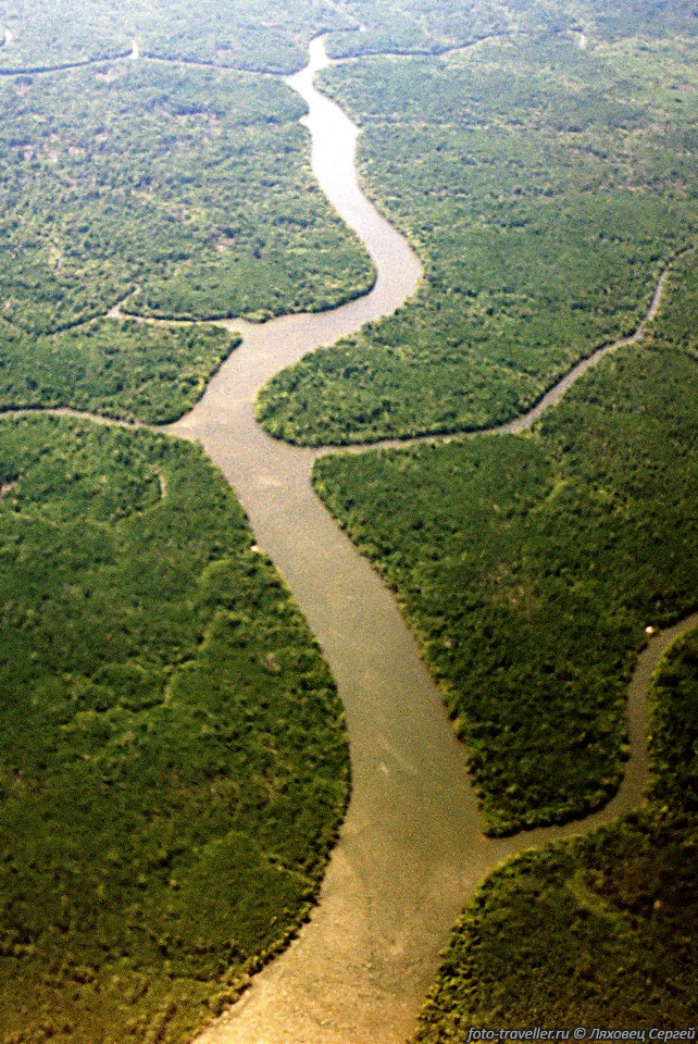 Река Кинабатанган недалеко от устья
