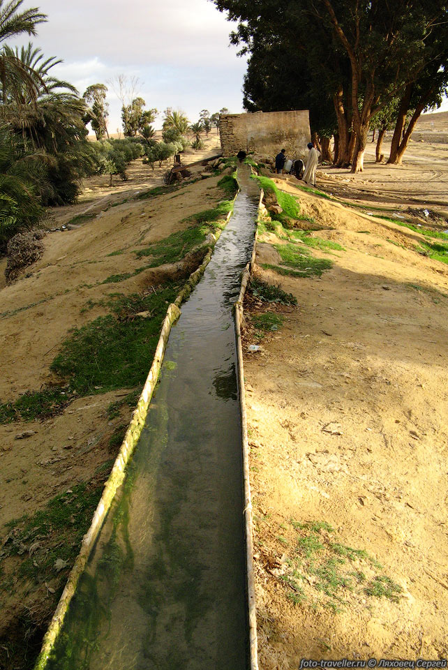 Водопровод для полива зеленых насаждений в небольшом оазисе