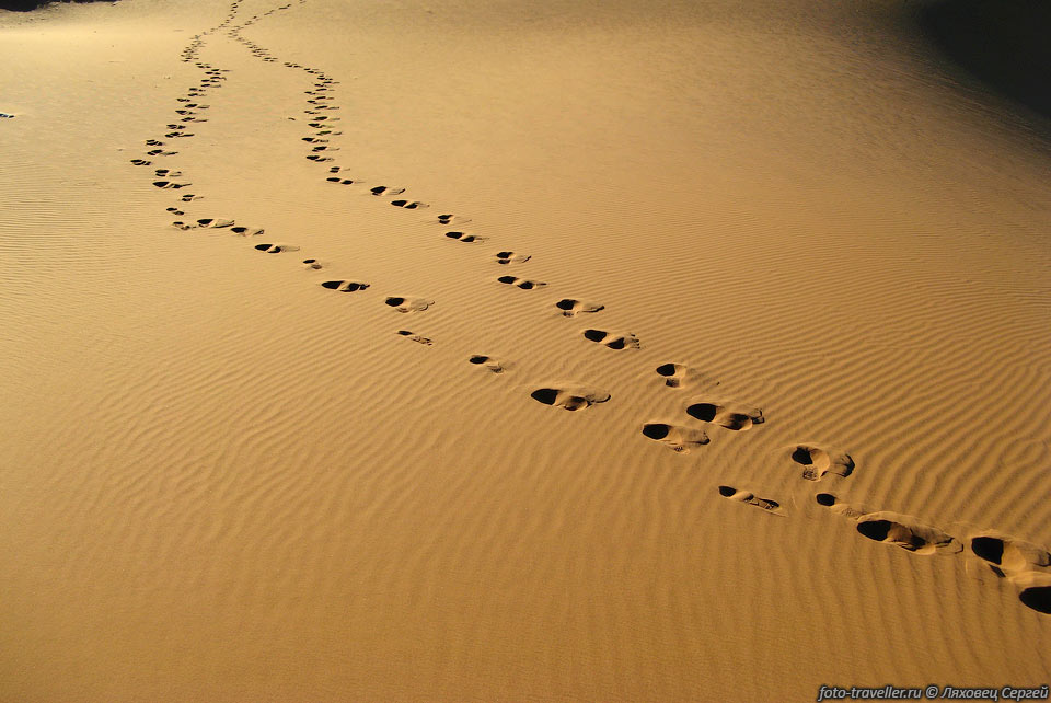 Следы в песках Сахары