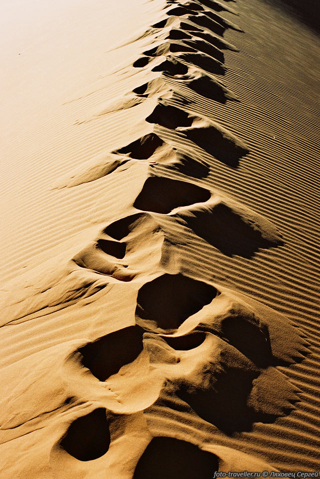 По гребню дюны проще всего передвигаться