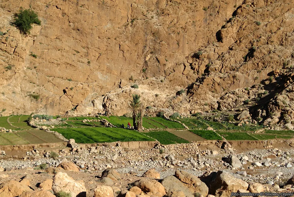 Ущелье Тодра (Todra gorge) расположено почти на границе с пустыней
