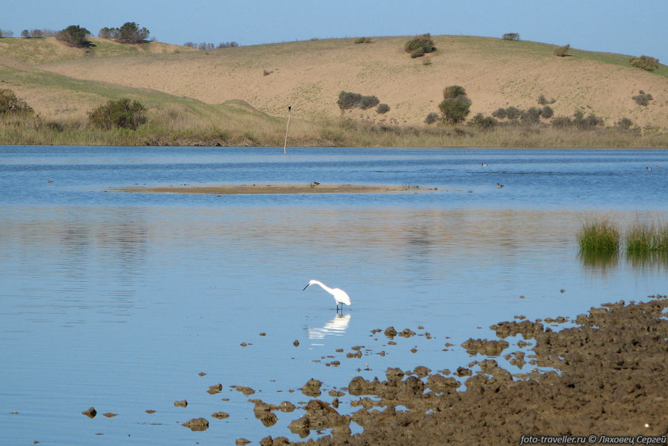 Национальный парк Сус-Масса (Souss-Massa) основан в 1991 году 
и является самым важным парком Марокко. Парк расположен в 70 километрах южнее туристического 
города Агадир (Agadir). Название парку дали две речки протекающие по его территории: 
Сус и Маса, впадающие в Атлантический океан. Лагуны, образованные устьями рек являются 
местами обитания различных птиц.