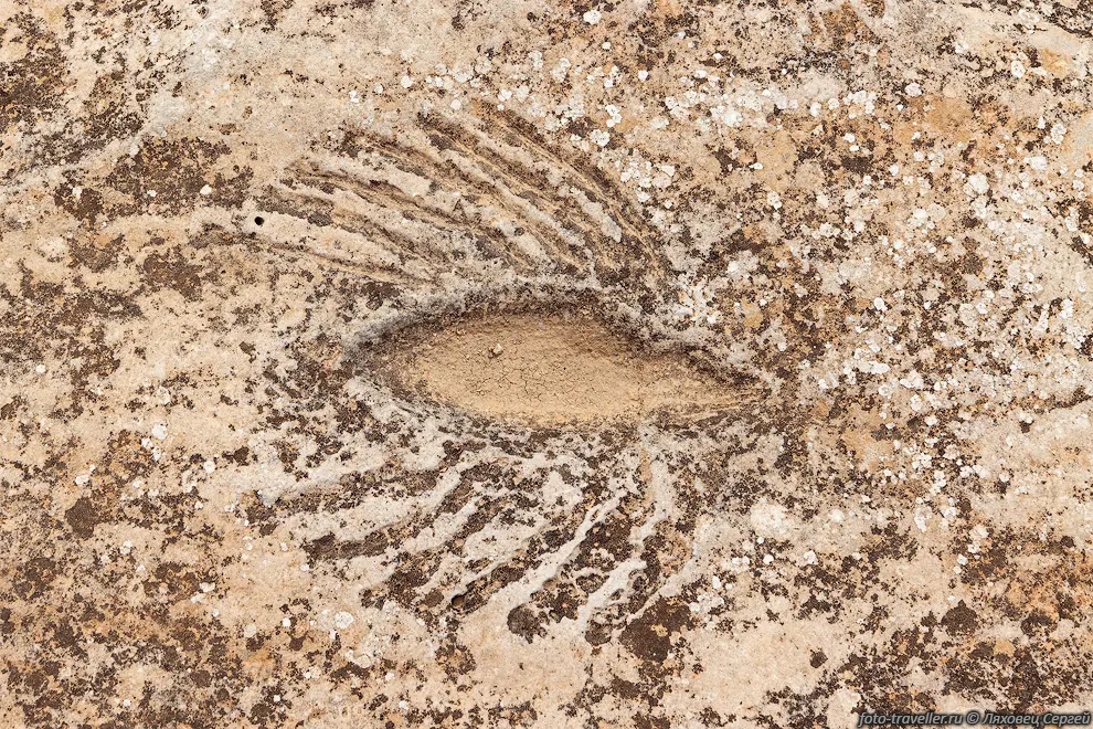 Петроглифы Джебель-Джассие (Petroglyphs of Jebel Jassassiyeh)